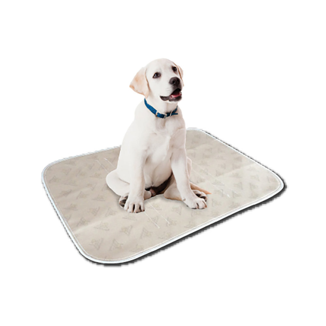 View larger image of Pooch Pad, PoochPad - Medium - Beige - 20x27"