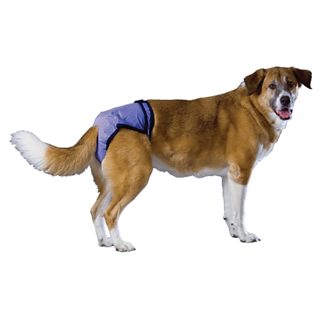 View larger image of Pooch Pad, PoochPants - Diaper - X-Small - 4 - 8 lbs
