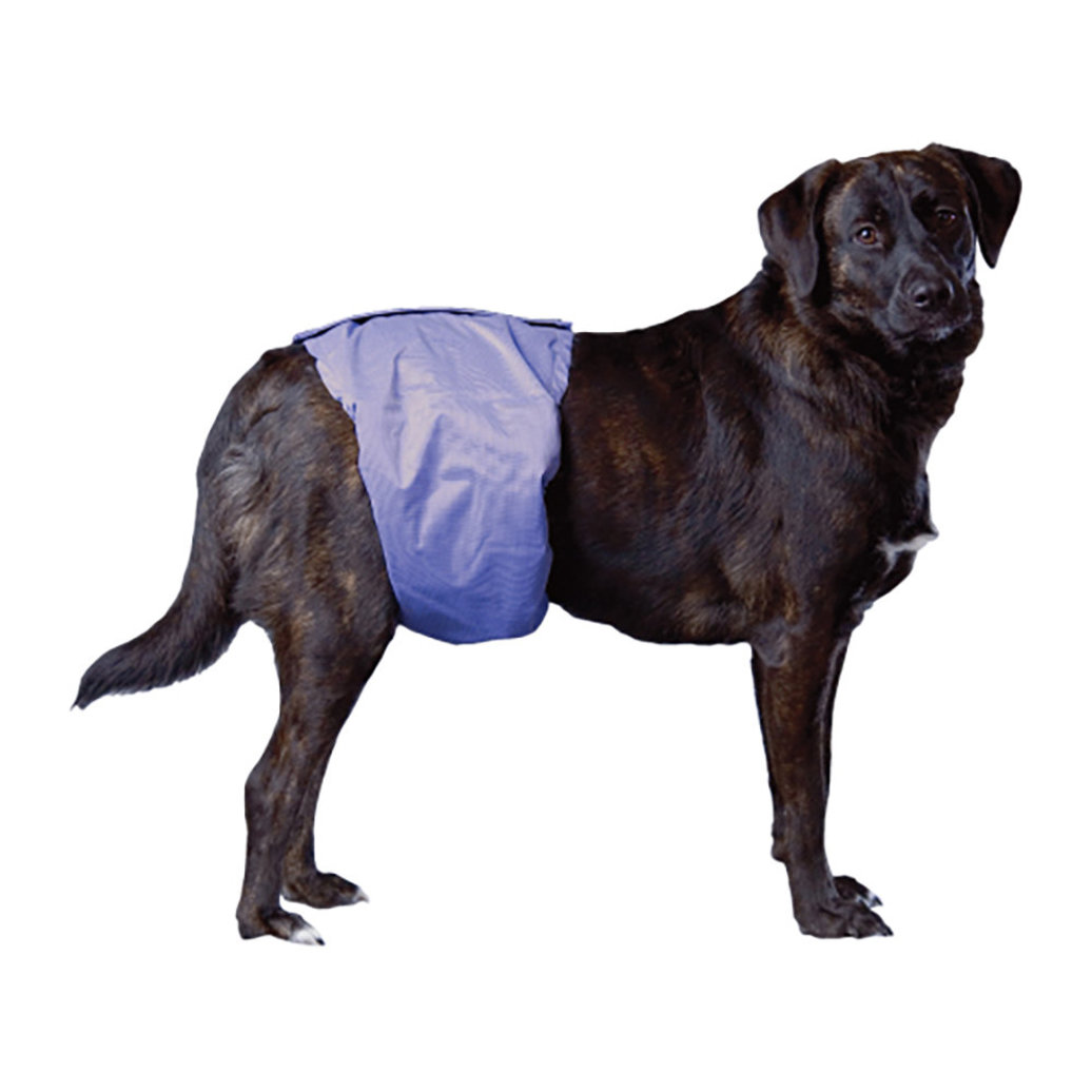 View larger image of Pooch Pad, PoochPants - Male Wrap - Small - 12 - 15"