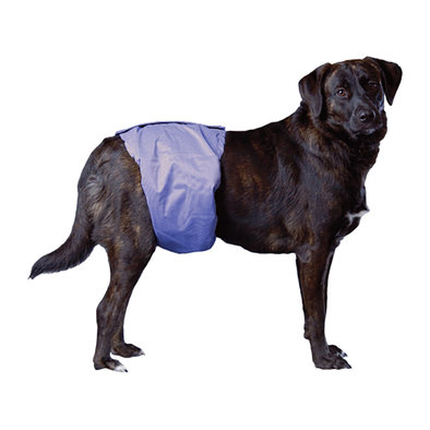 Pooch Pad, PoochPants - Male Wrap - Small - 12 - 15"