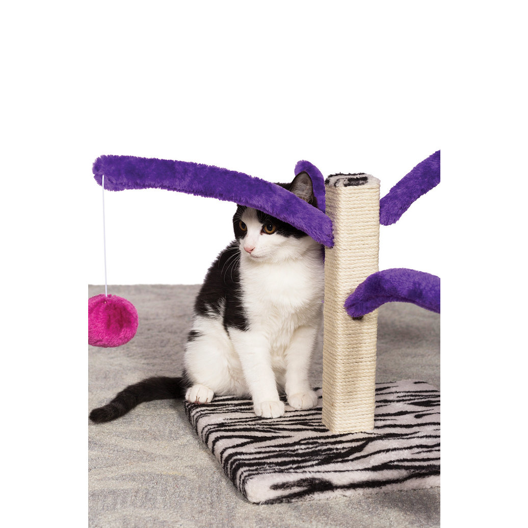 View larger image of Prevue, Bounce and Spring Cat Post