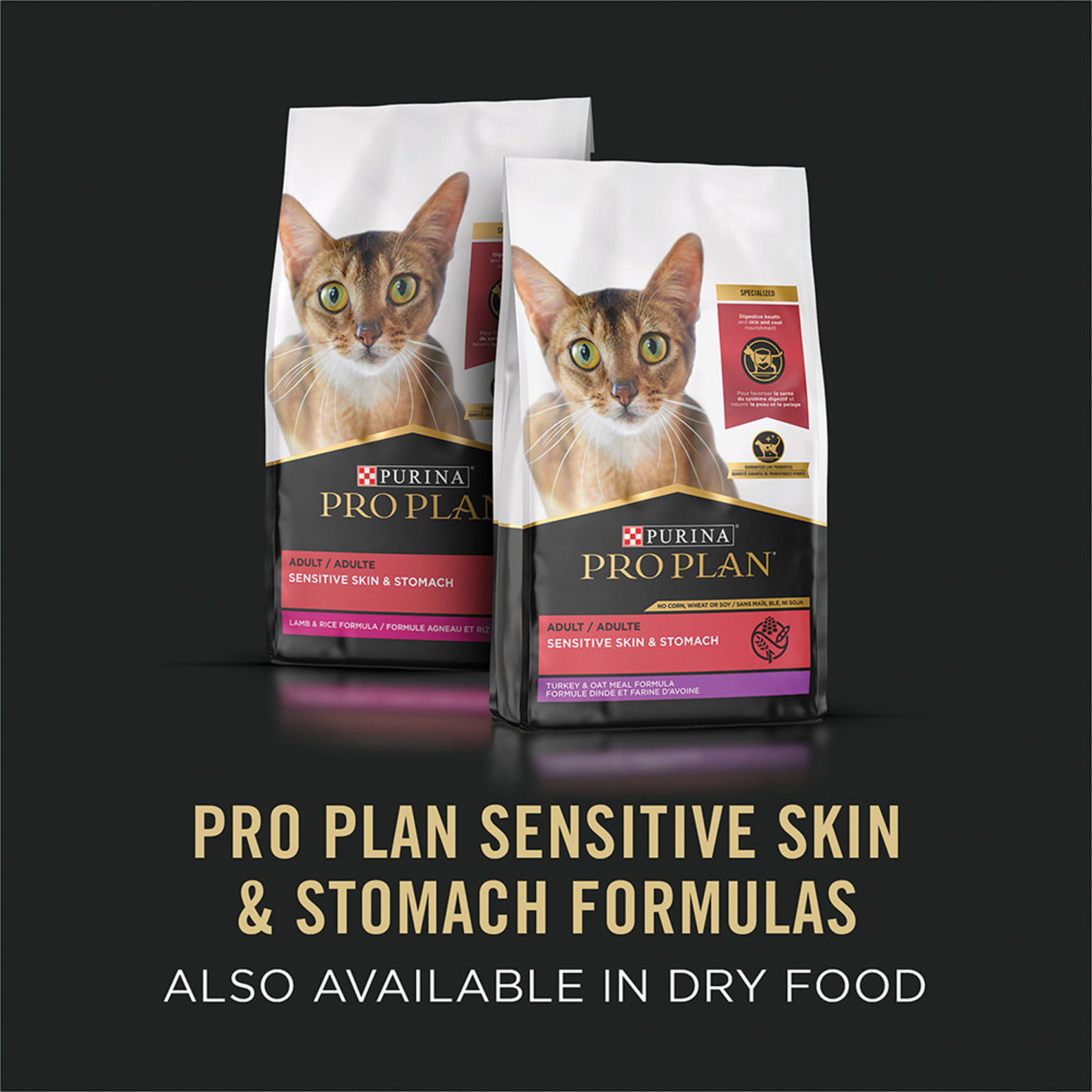 Moist cat food for sensitive stomachs best sale