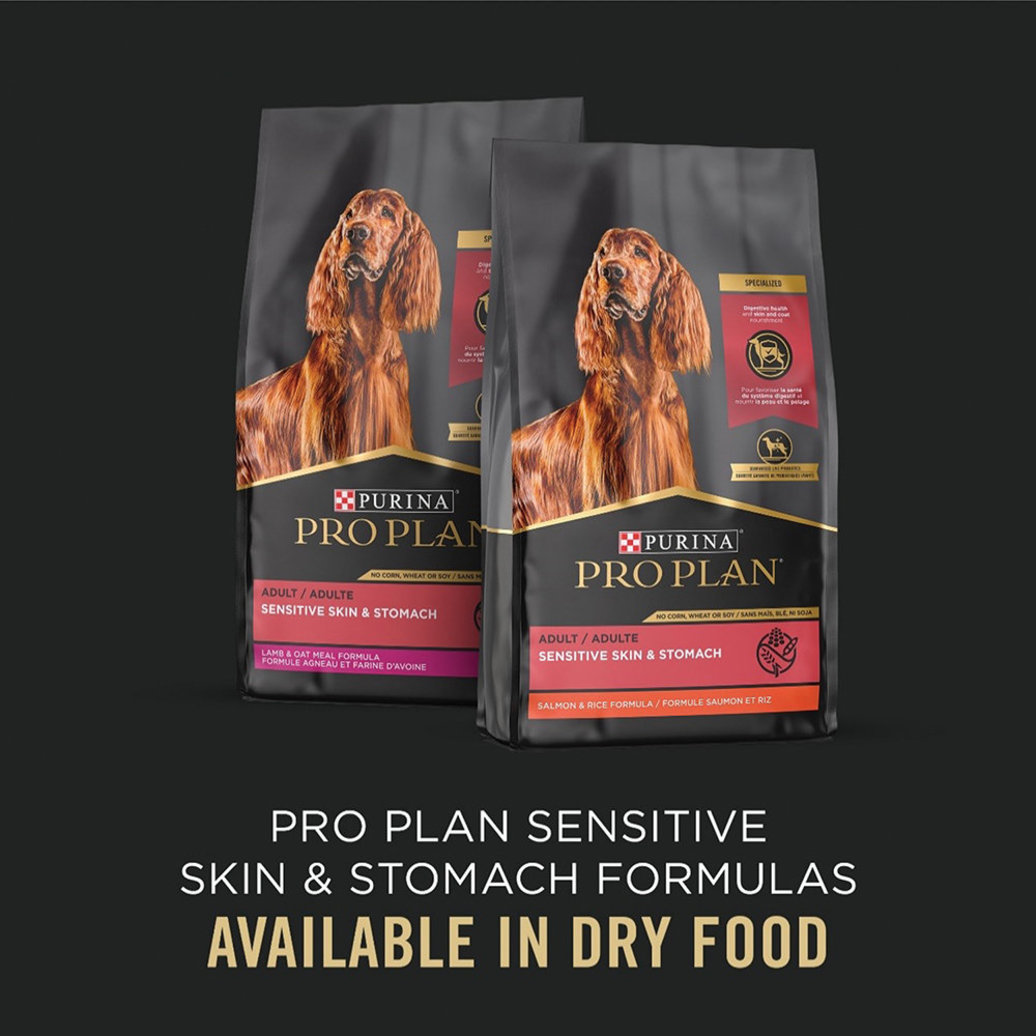 View larger image of Pro Plan, Adult Sensitive Skin & Stomach - Salomn & Rice - 385 g - Wet Dog Food