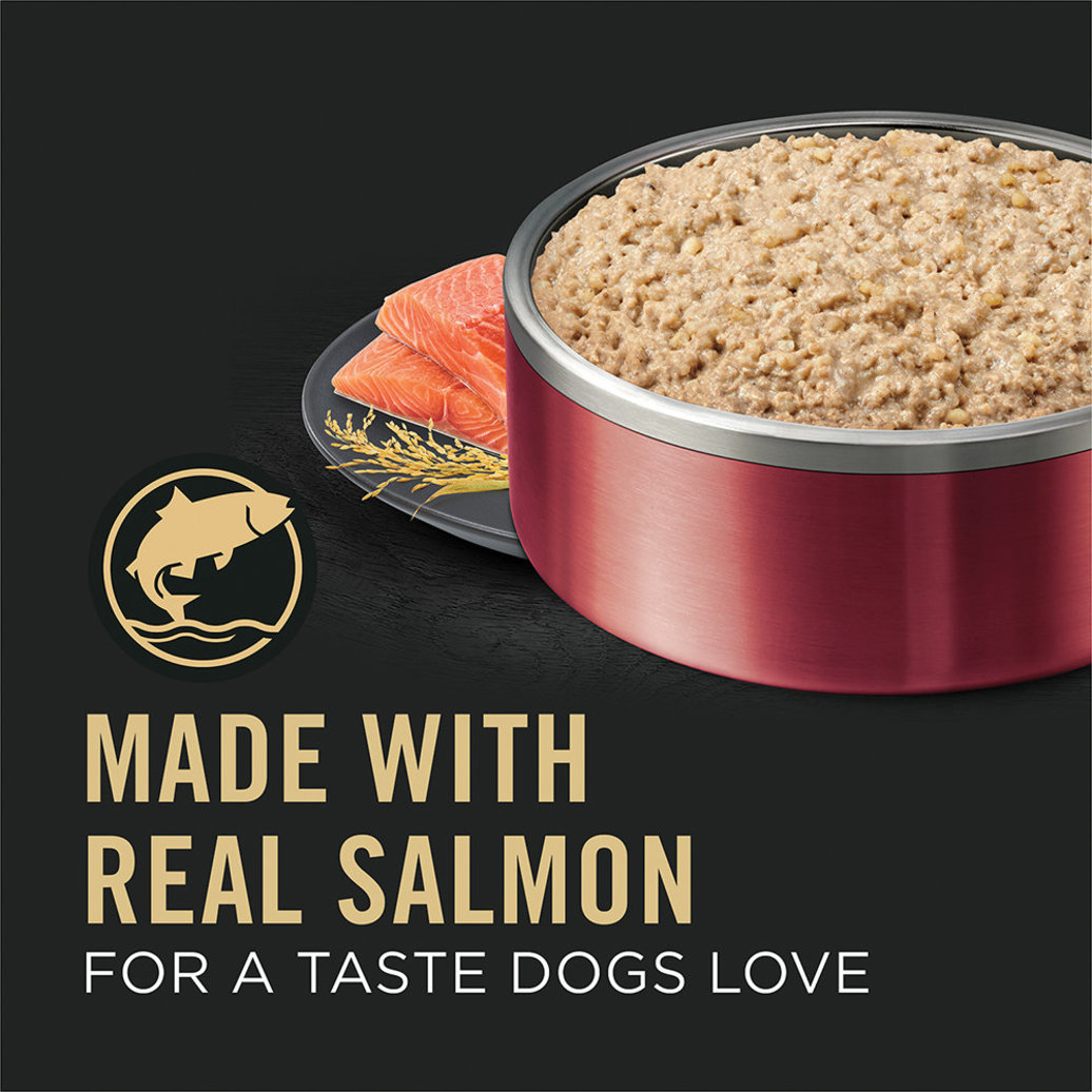 View larger image of Pro Plan, Adult Sensitive Skin & Stomach - Salomn & Rice - 385 g - Wet Dog Food