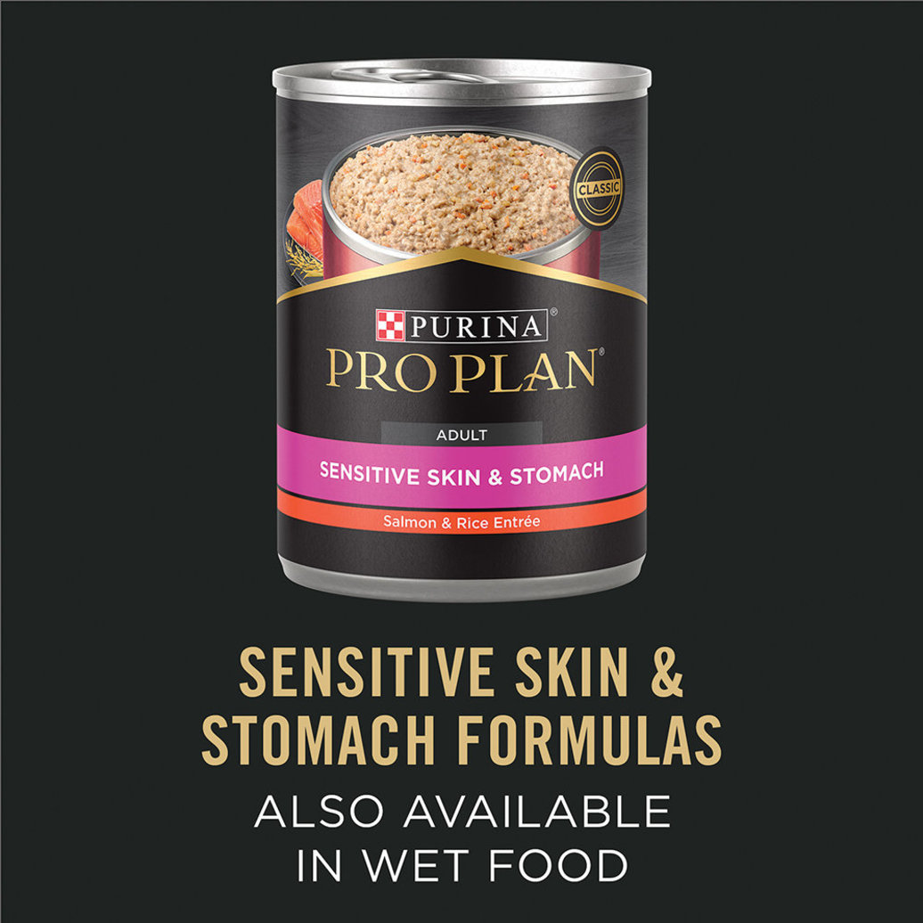 View larger image of Pro Plan, Adult - SensitiveSkin&Stomach - Turkey&Oatmeal - 10.9 kg - Dry Dog Food