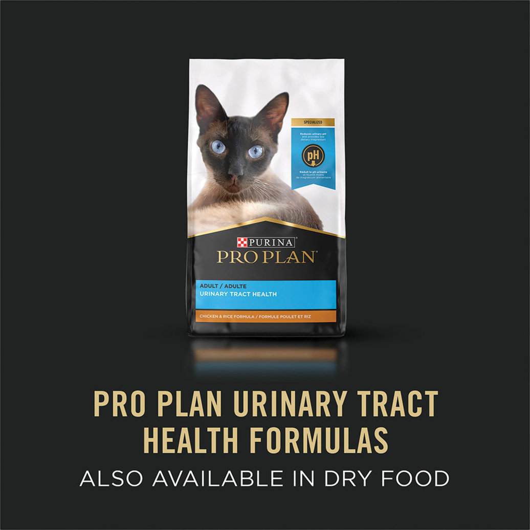 View larger image of Pro Plan Wet Cat Specialized Urinary Tract Turkey & Giblets 156g