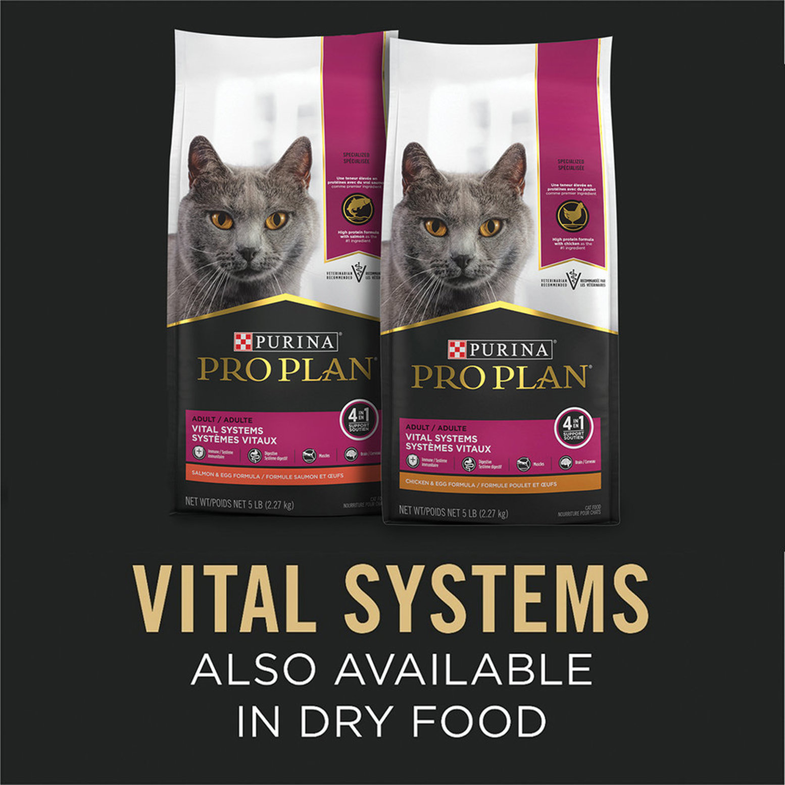 Pro Plan Can Feline Vital Systems 4in1 Salmon 85 g Ren s Pets