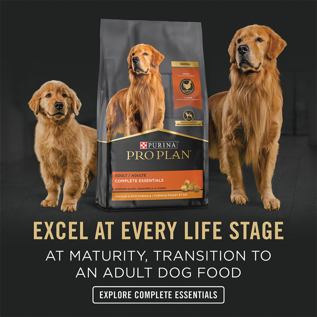 View larger image of Pro Plan, Can, Puppy - Development-Chicken & Rice Pate-368 g - Wet Dog Food