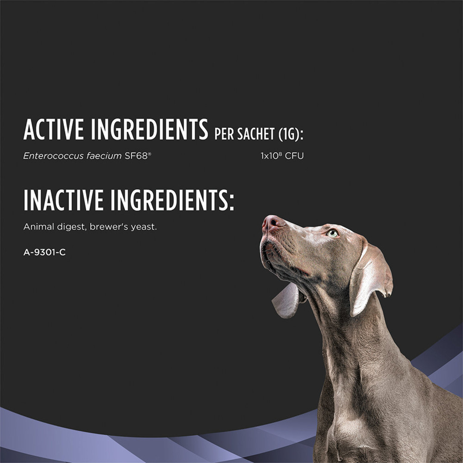 Fortiflora probiotic supplement for dogs best sale