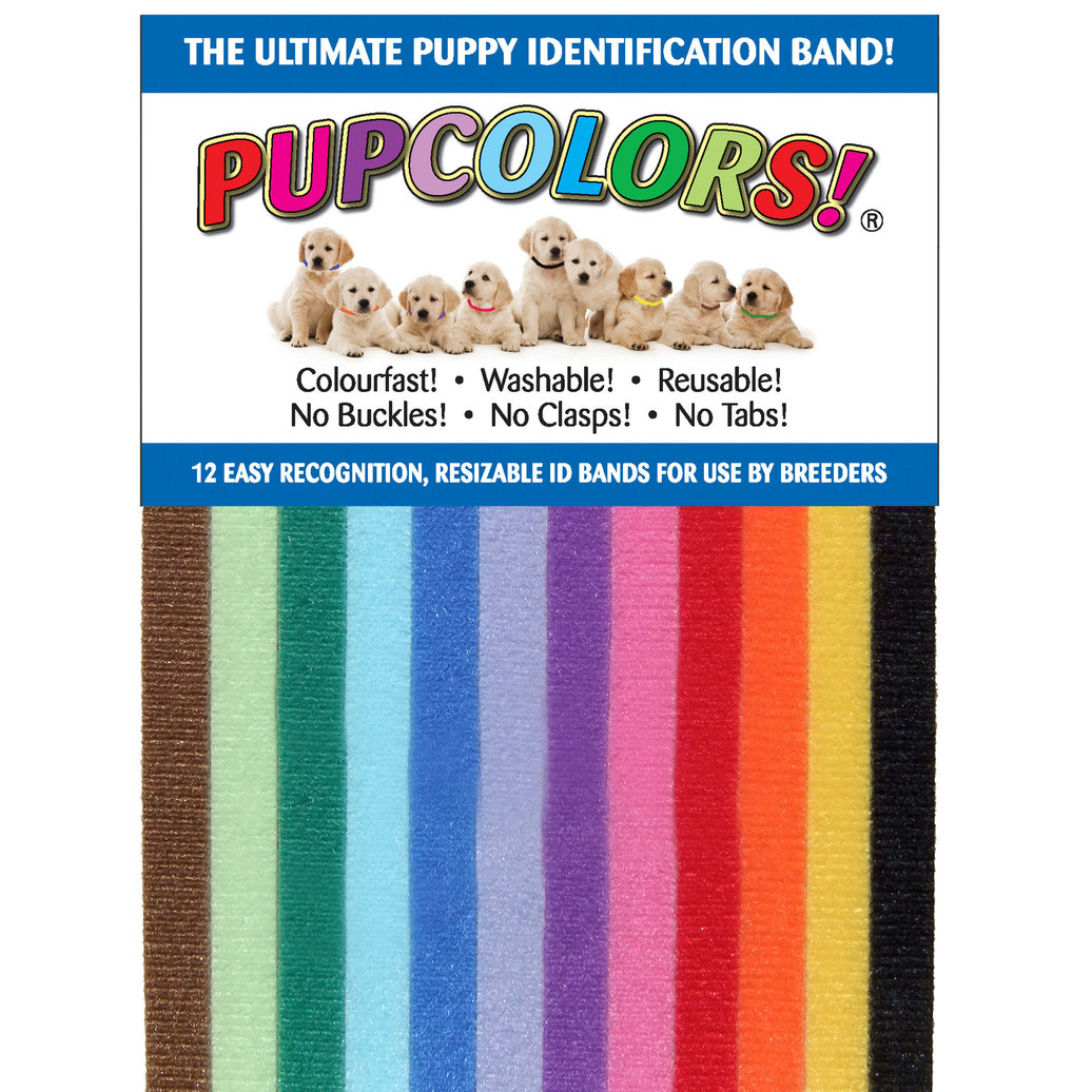 View larger image of Pupcolors, Puppy Identification Bands - 12 Pk