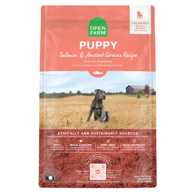 Puppy Salmon & Ancient Grains Recipe - 9.98 kg - Dry Dog Food