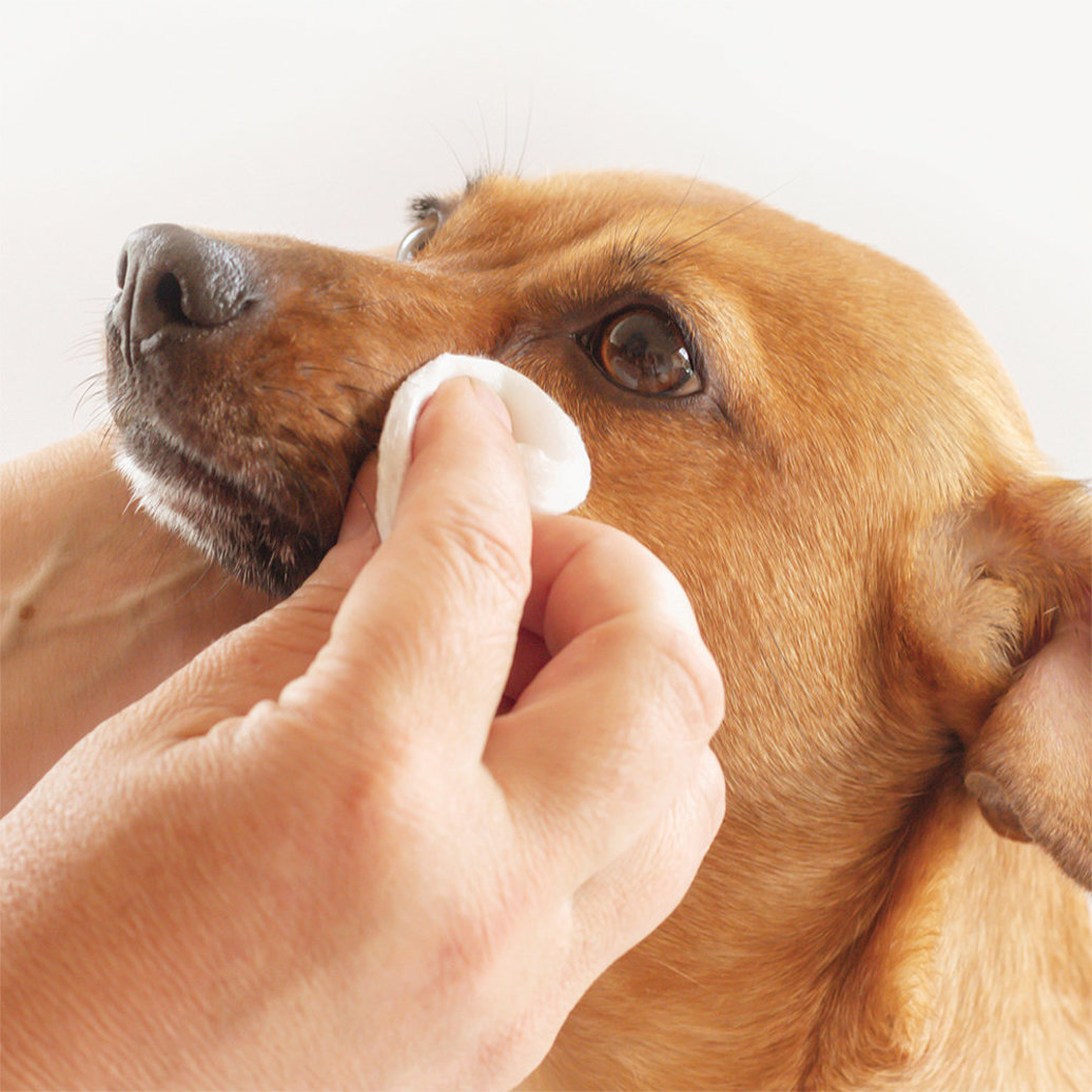 View larger image of Pure and Natural Pet, Tear Stain Removing Under Eye Wipes - 50 ct