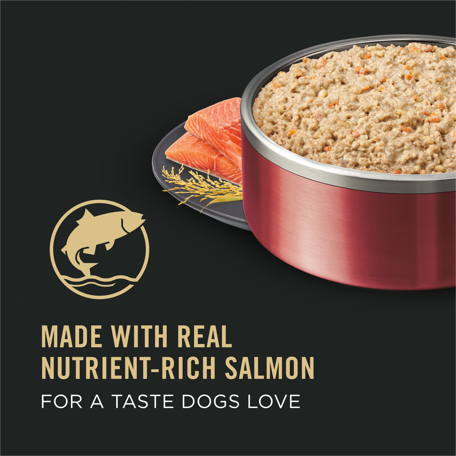 Best salmon and rice hotsell dog food