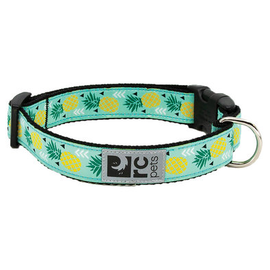 Clip Collar - Pineapple Parade - 3/4" Width - Small