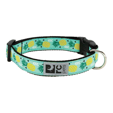 Clip Collar - Pineapple Parade - 5/8" Width - X-Small