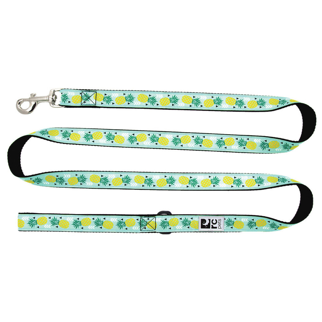 View larger image of Leash - Pineapple Parade - 3/4" Width - 6'