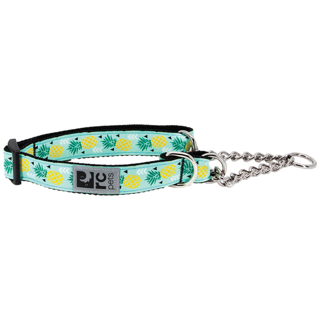 View larger image of RC Pets, Training Collar  - Pineapple Parade