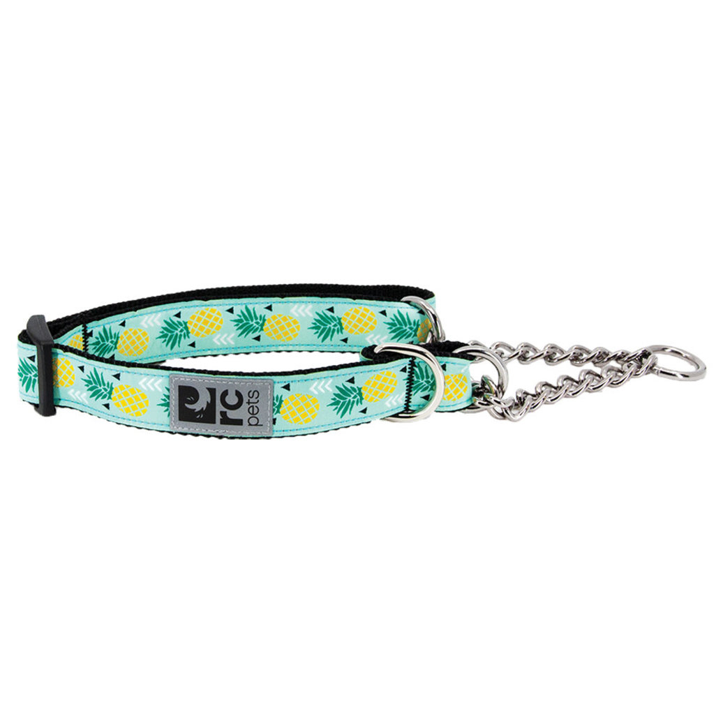 View larger image of RC Pets, Training Collar  - Pineapple Parade