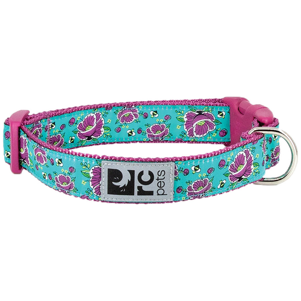 View larger image of Clip Collar - All The Buzz - 5/8" Width