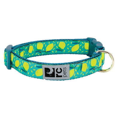 RC Pets, Clip Collar - Lemonade - 5/8" Width