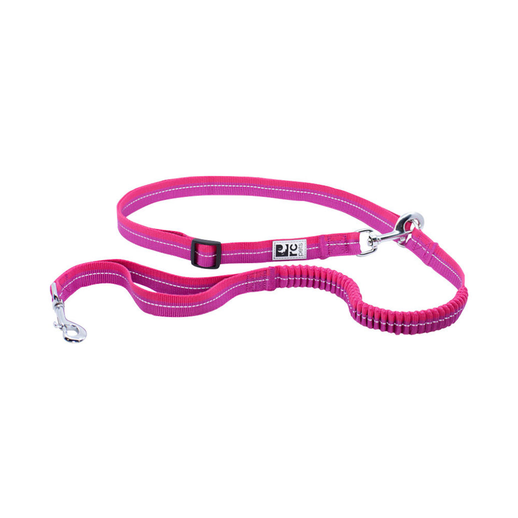 View larger image of RC Pets, Leash - Bungee Active - Mulberry/Azalea