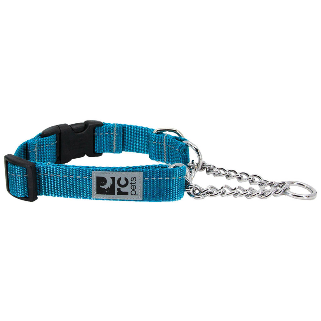 View larger image of RC Pets, Primary Training Clip Collar - Dark Teal - 5/8'' Width