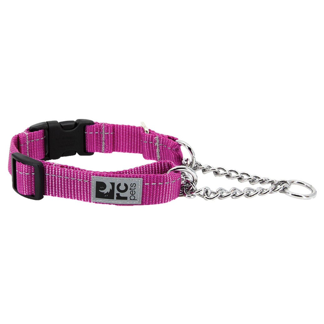 View larger image of RC Pets, Primary Training Clip Collar - Mulberry - 5/8'' Width
