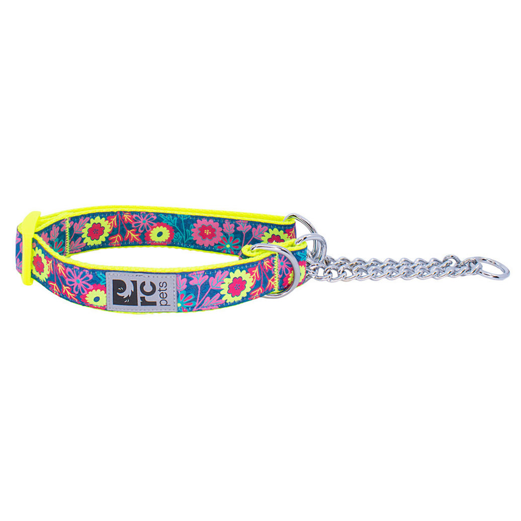 View larger image of RC Pets, Training Collar - Flower Power