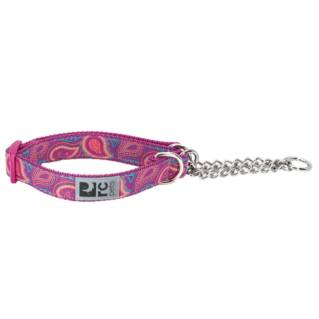 View larger image of RC Pets, Training Collar - Bright Paisley