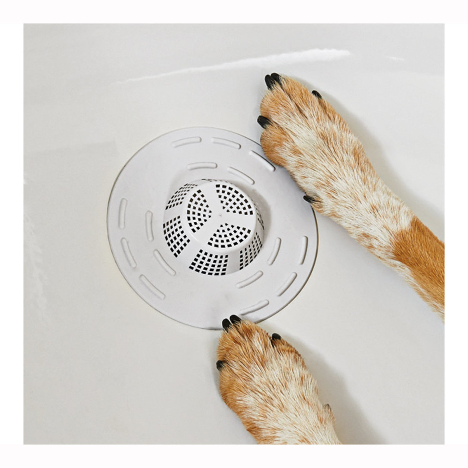 https://cdn.renspets.com/product_images/rinse-ace-pet-hair-catcher/5bc35e10b911a76c0bb00c6d/pdp_zoom.jpg?c=1539530256