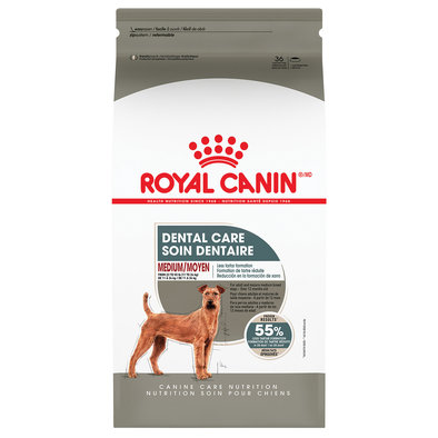 Royal Canin, Canine Care Nutrition Dental Care Adult Medium - Dry Dog Food