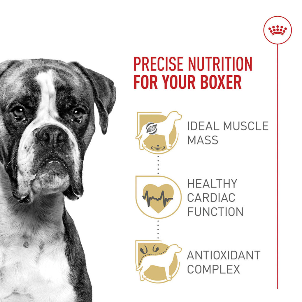 View larger image of Royal Canin, Breed Health Nutrition Boxer Adult