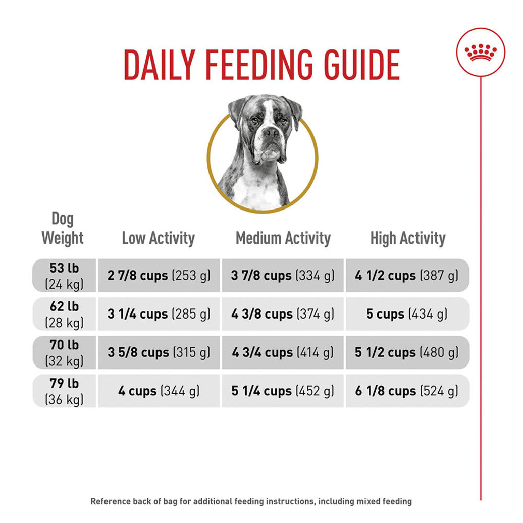 View larger image of Royal Canin, Breed Health Nutrition Boxer Adult