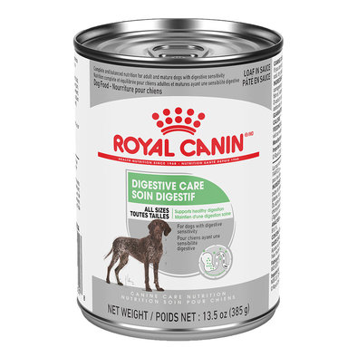 Royal Canin, Canine Care Nutrition Digestive Care Adult Loaf in Sauce