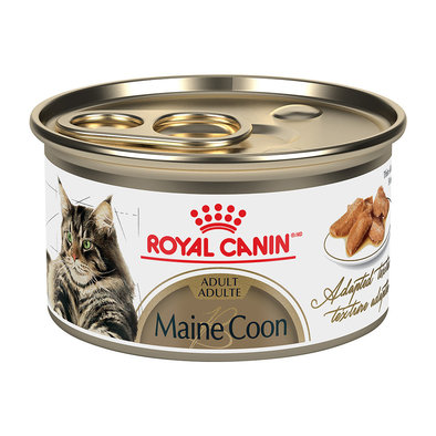 Royal Canin, Feline Breed Health Nutrition Maine Coon Loaf in Sauce - Wet Cat Food