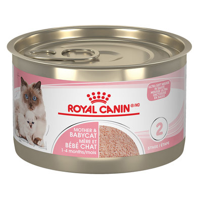 Royal Canin, Can, Mother & Babycat - Ultra Soft Mousse - 145 g - Wet Cat Food