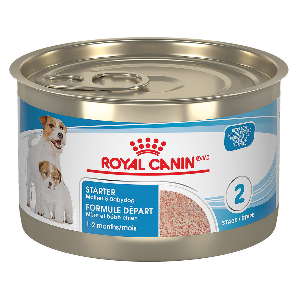 View larger image of Royal Canin, Can, Puppy - Starter Mousse - 145 g - Wet Dog Food