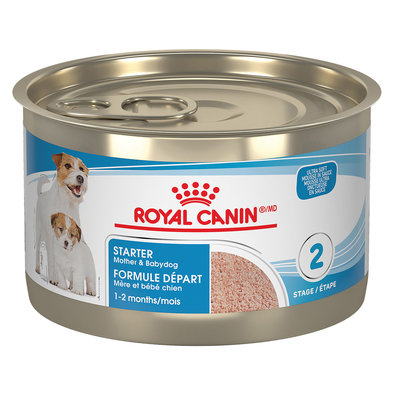 Royal Canin, Can, Puppy - Starter Mousse - 145 g - Wet Dog Food