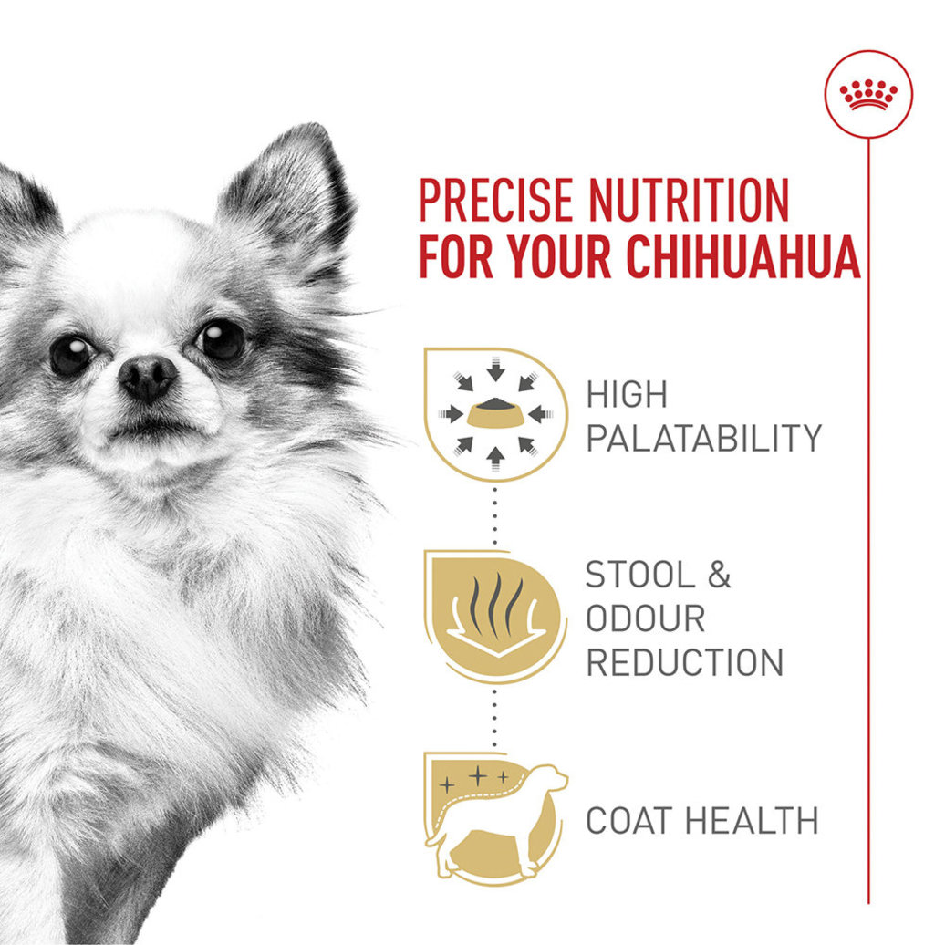 View larger image of Royal Canin, Breed Health Nutrition Chihuahua Adult  