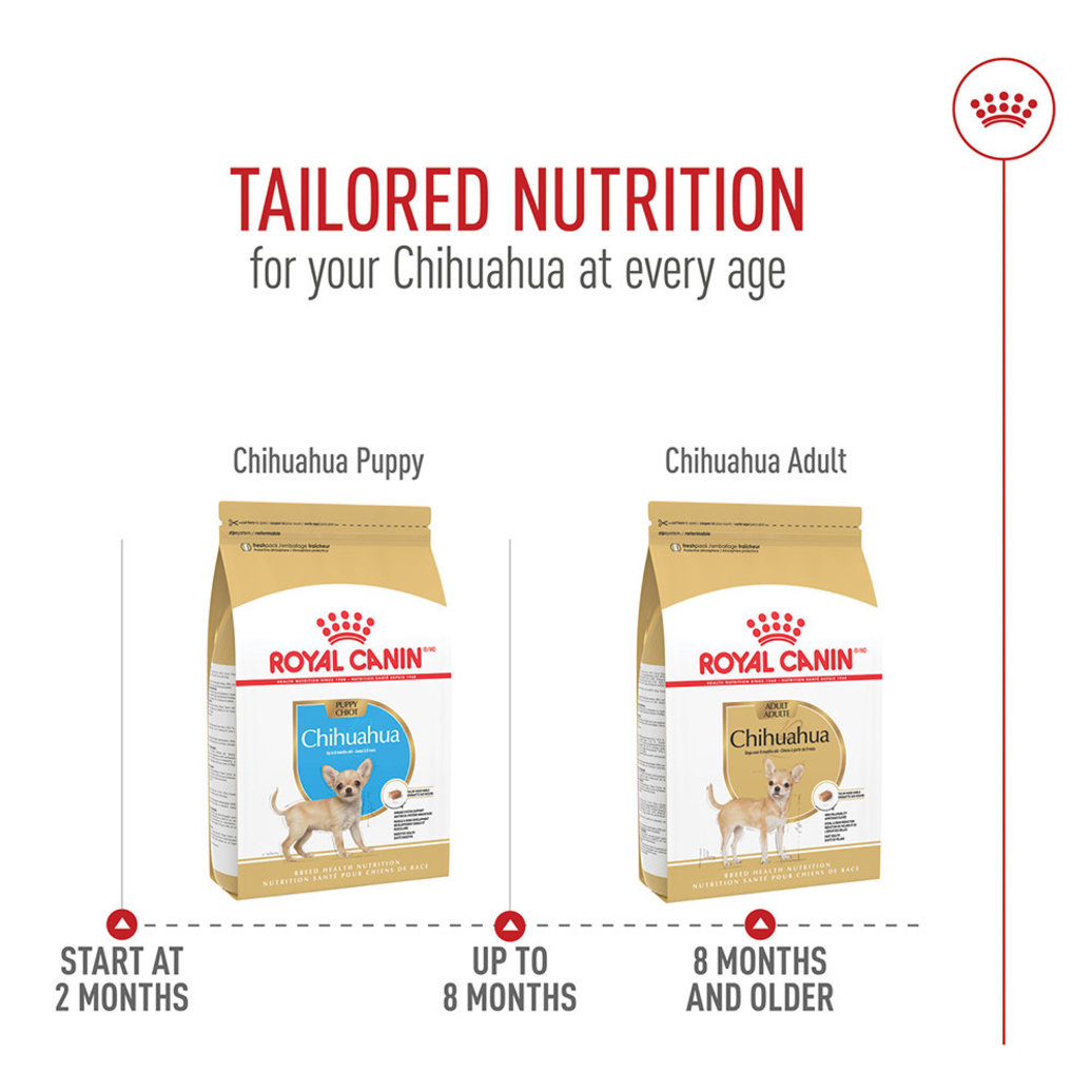 View larger image of Royal Canin, Breed Health Nutrition Chihuahua Adult  