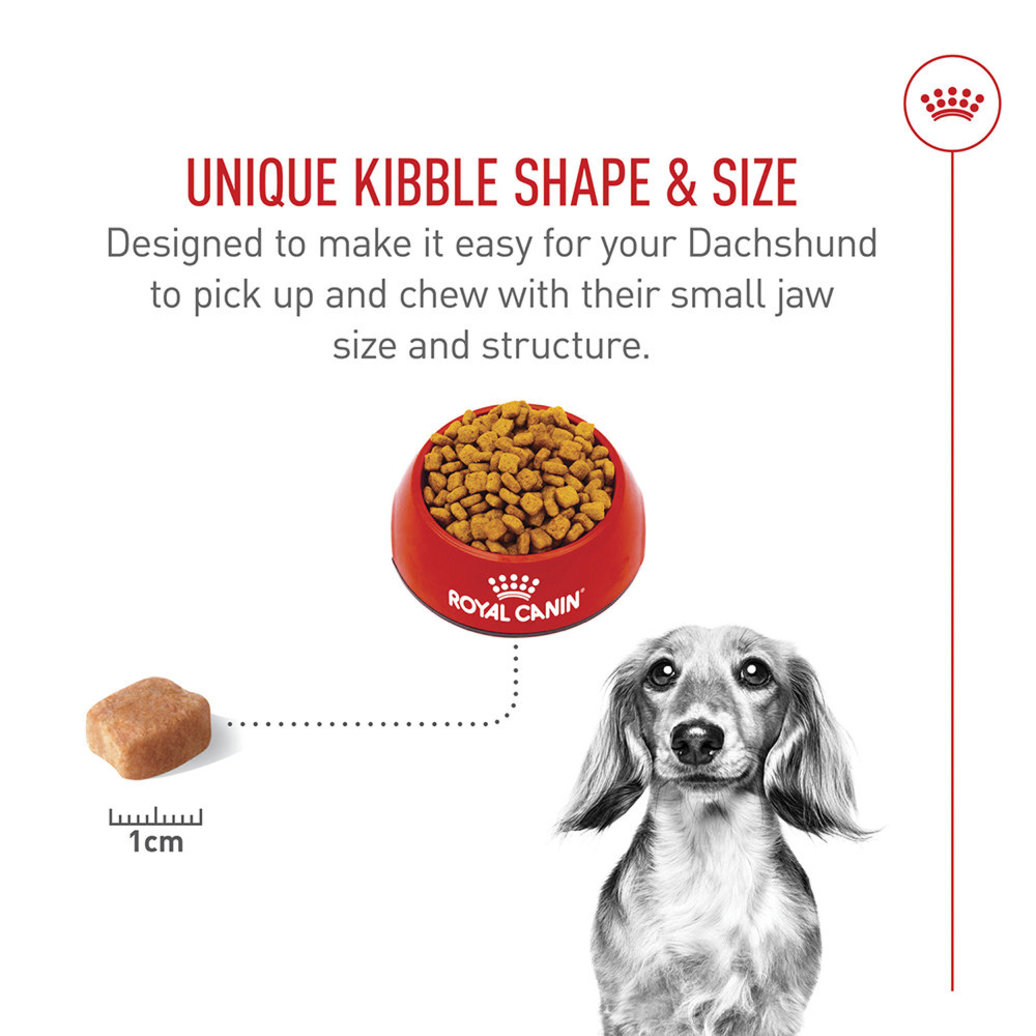 View larger image of Royal Canin, Breed Health Nutrition Dachshund Adult  