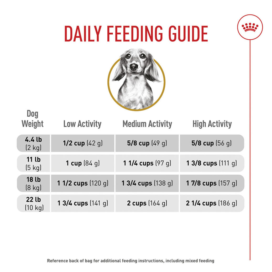 View larger image of Royal Canin, Breed Health Nutrition Dachshund Adult  