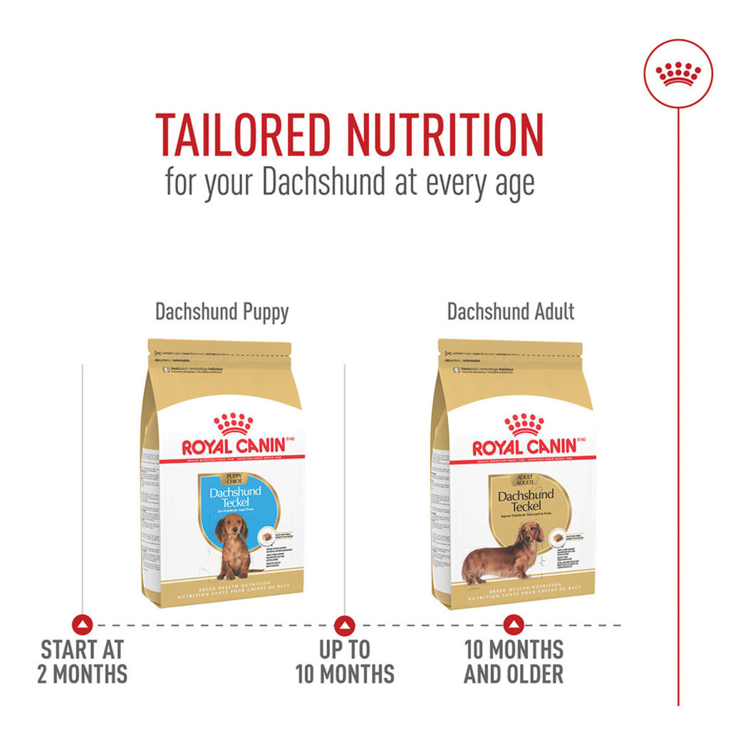 View larger image of Royal Canin, Breed Health Nutrition Dachshund Adult  