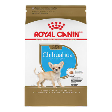 Breed Health Nutrition Chihuahua Puppy