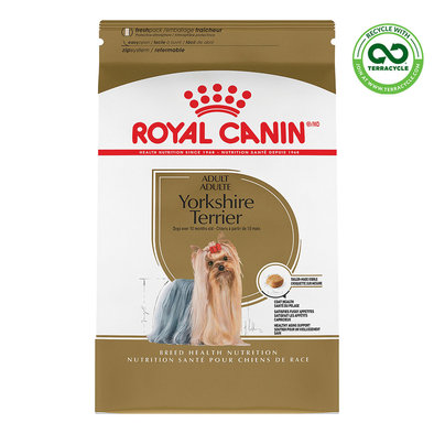 Breed Health Nutrition Yorkshire Terrier Adult