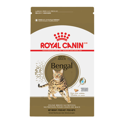 Feline Breed Health Nutrition  Bengal