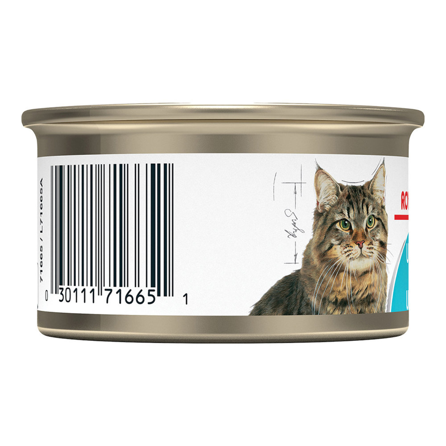 Royal Canin Feline Adult Urinary Thin Slices in Gravy 85 g