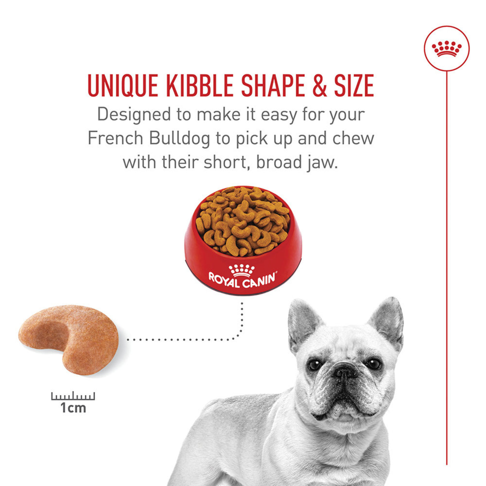 French bulldog kibble best sale