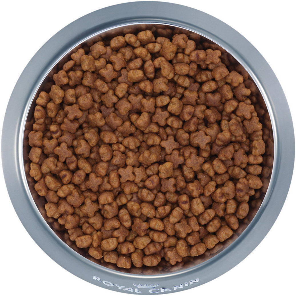 View larger image of Royal Canin, Breed Health Nutrition German Shepherd Puppy - Dry Dog Food