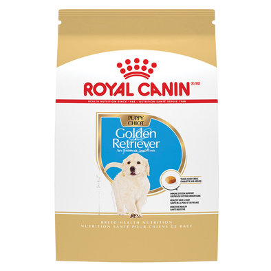 Royal Canin, Breed Health Nutrition Golden Retriever Puppy - Dry Dog Food